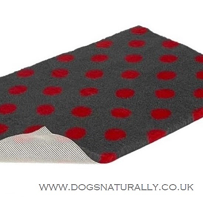 Charcoal with Red Polka Dots Vetbed Contemporary Living